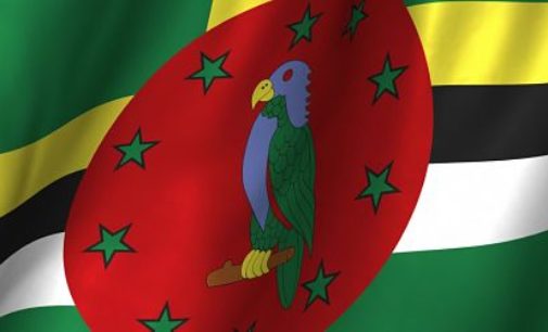 Incorporación de una IBC en Dominica