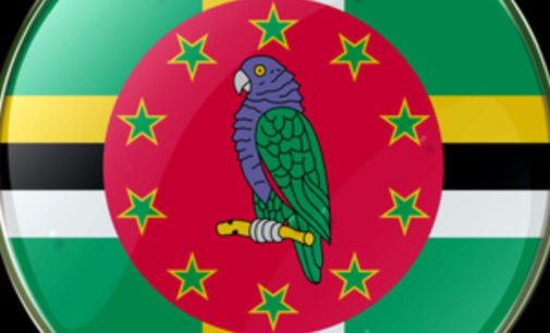¿Cómo registrar una empresa en Dominica y proteger sus activos de manera más segura?